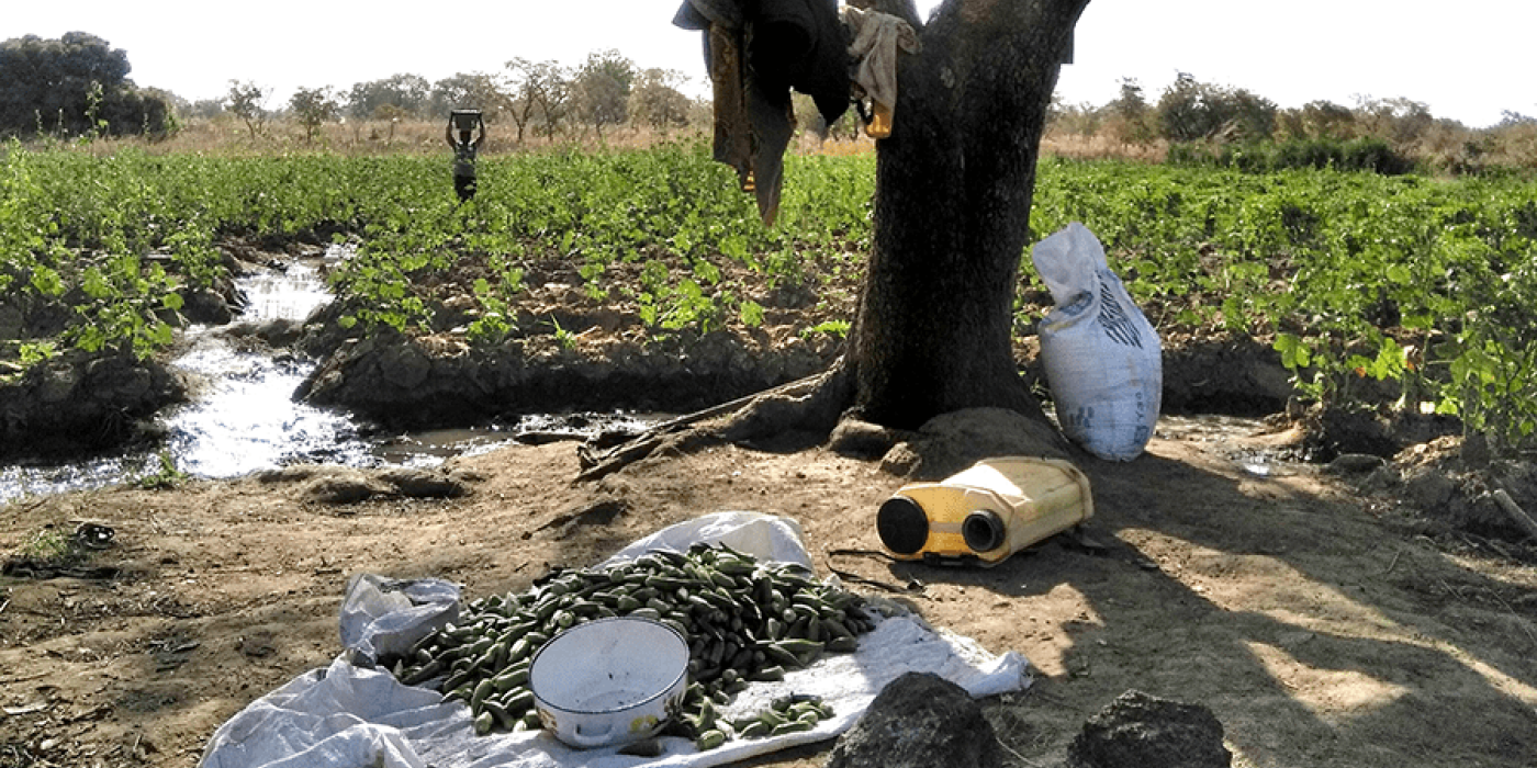 Evolving epistemologies: Understanding hybrid knowledge and its impact on livelihoods in migrant-agricultural settings in Ghana